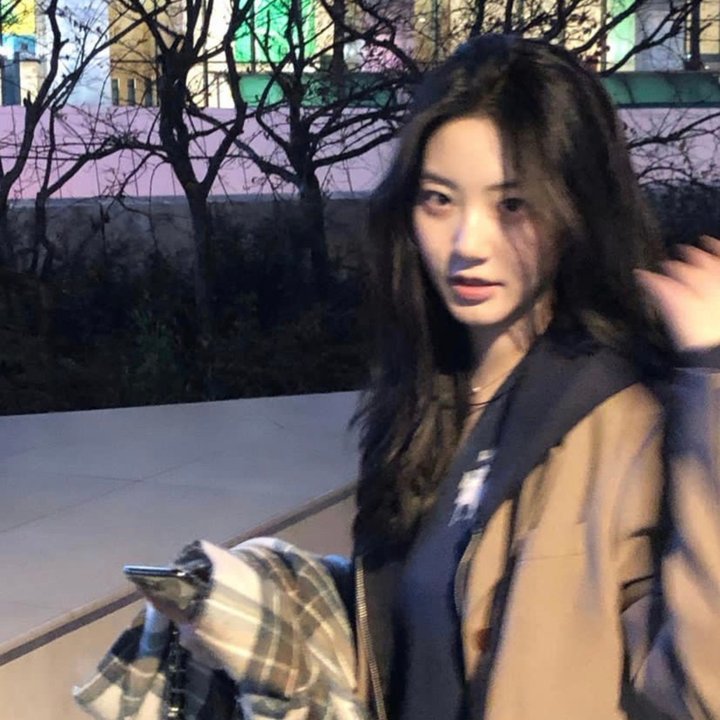 兔子镇的火狐狸